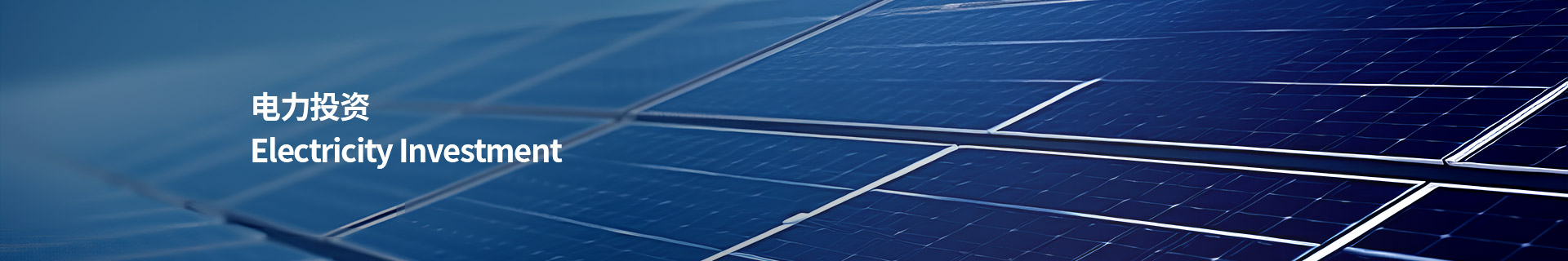 电力投资