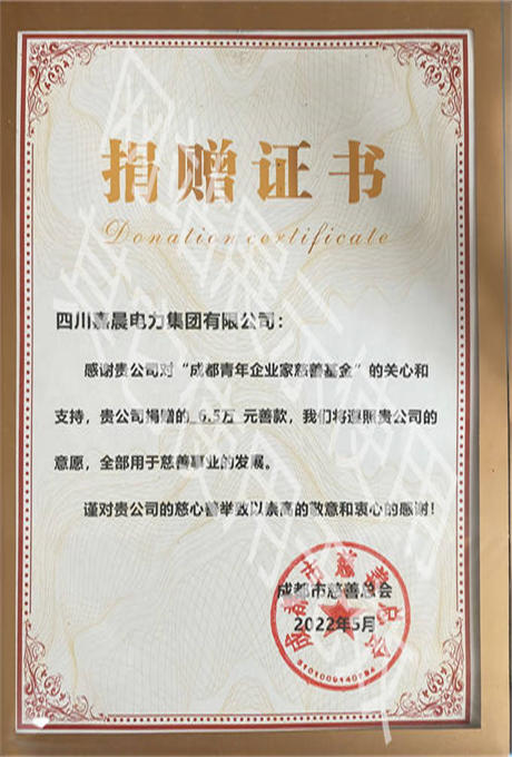 成都市慈善总会捐赠证书