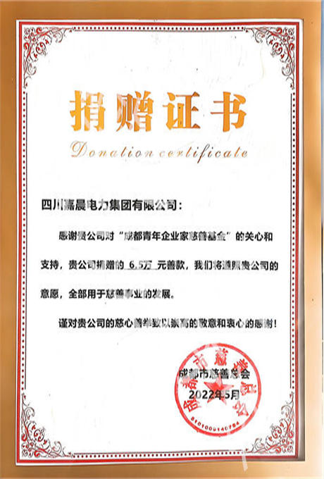 成都市慈善总会捐赠证书