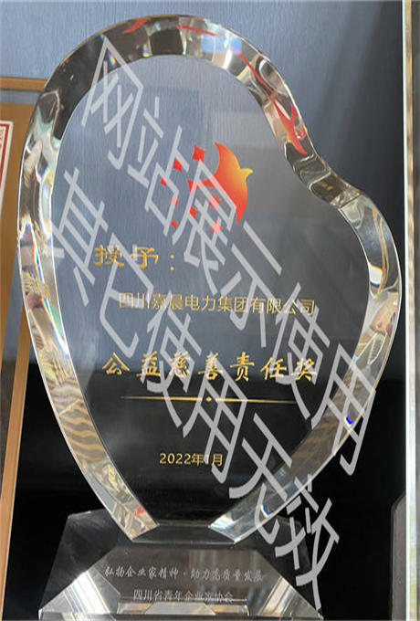 公益慈善责任奖